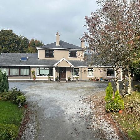 בית הארחה קורק 	Davmar House Blarney מראה חיצוני תמונה