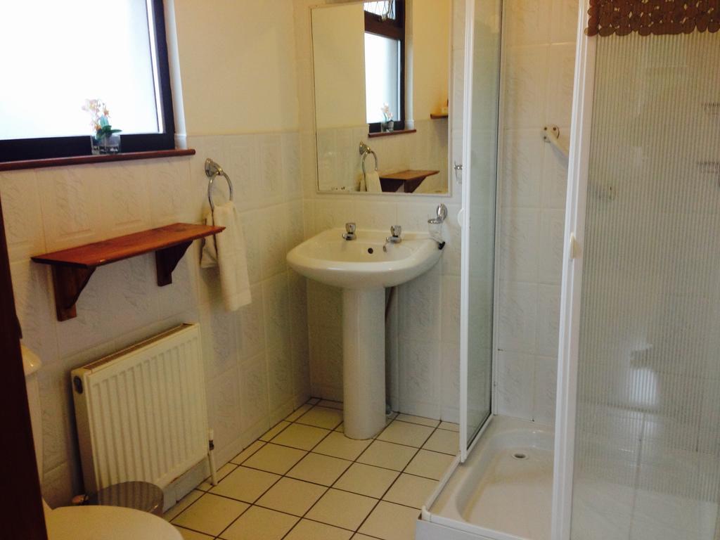 בית הארחה קורק 	Davmar House Blarney מראה חיצוני תמונה