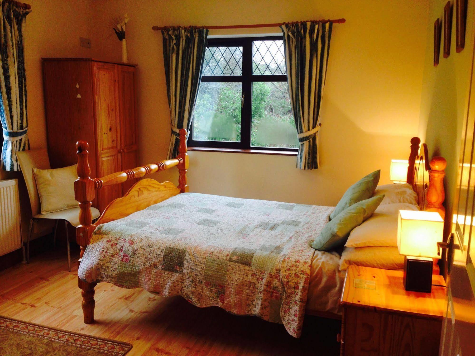 בית הארחה קורק 	Davmar House Blarney מראה חיצוני תמונה