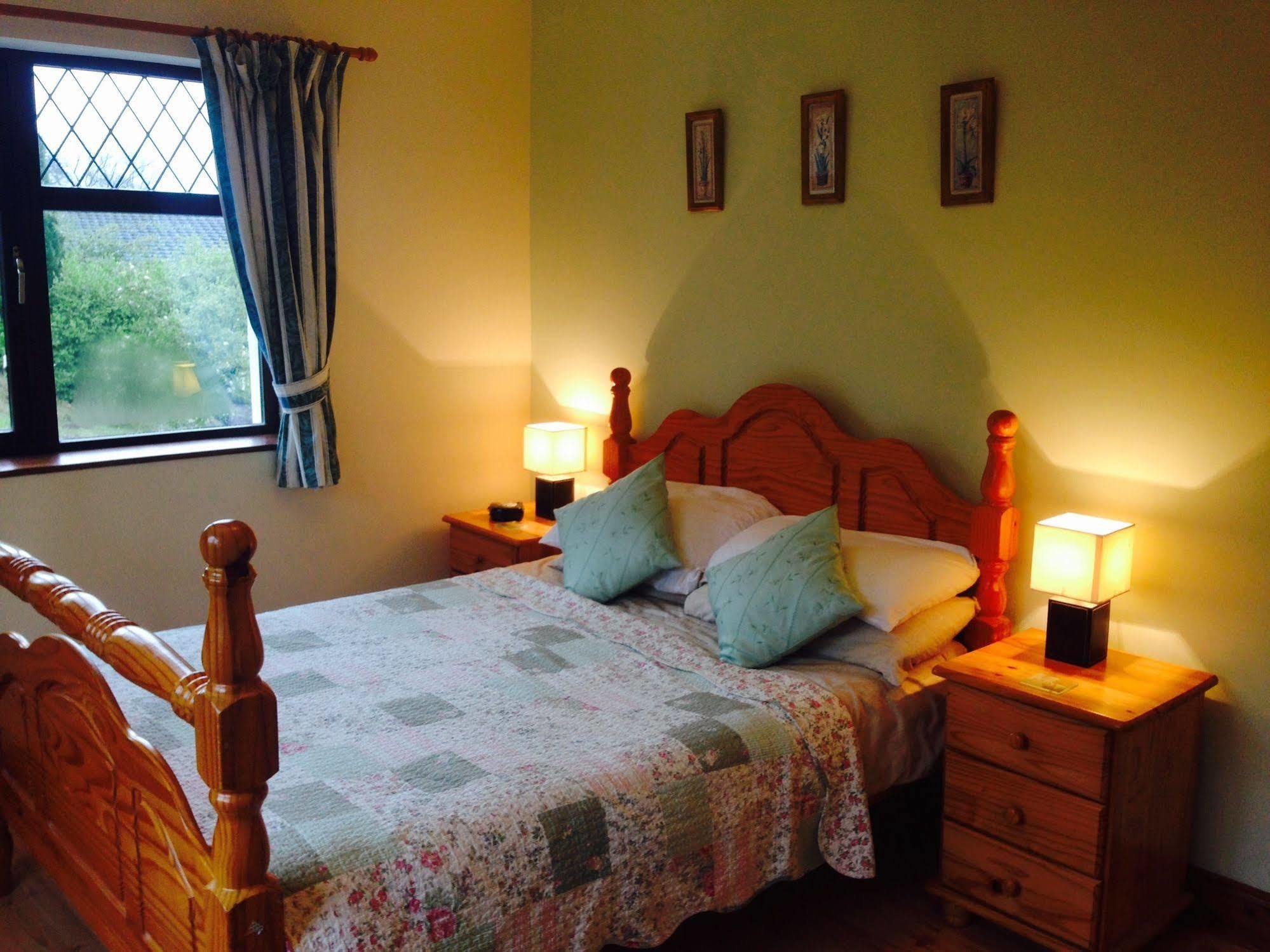 בית הארחה קורק 	Davmar House Blarney מראה חיצוני תמונה